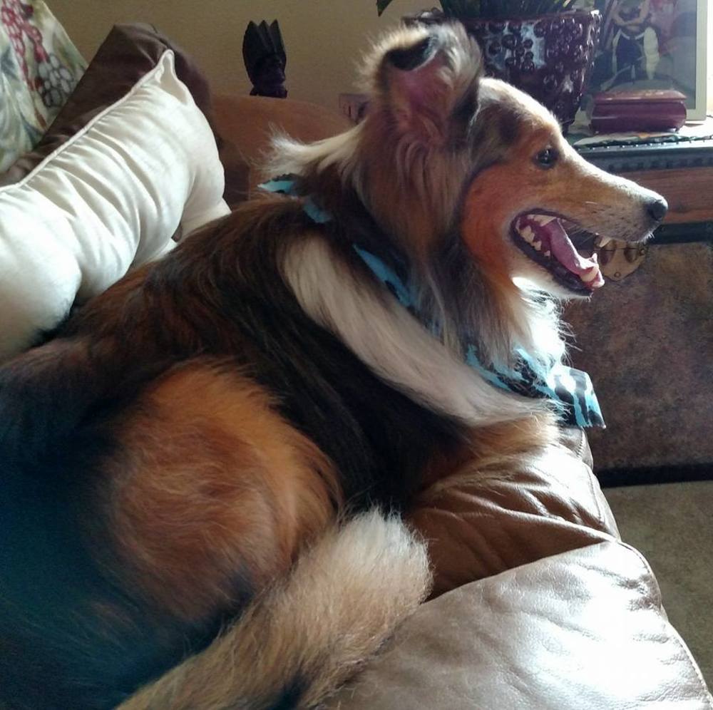 Meet your Posher, Sandra